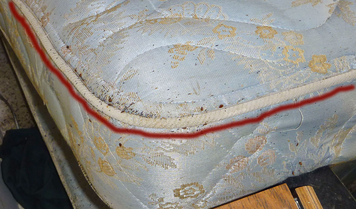 Mattress Tufts are a Typical Bed Bug Nesting Spot