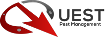 Pest Control of Bed Bugs, Fleas and Cockroaches. Logo