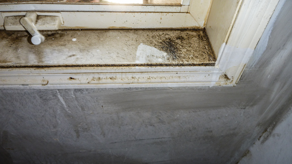Window sill covered with black excrements from bed bugs