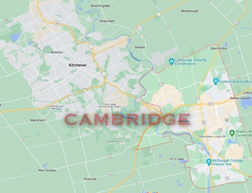 City of Cambridge – Region of Waterloo – Pest Control, Extermination and Fumigation Services
