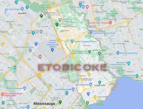 Etobicoke Pest Control, Extermination and Fumigation Services
